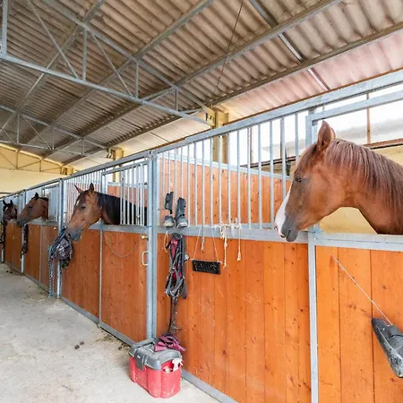 Сasa de vacaciones Bellavista Monte Santa Maria Tiberina