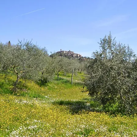 Casa vacanze Bellavista *